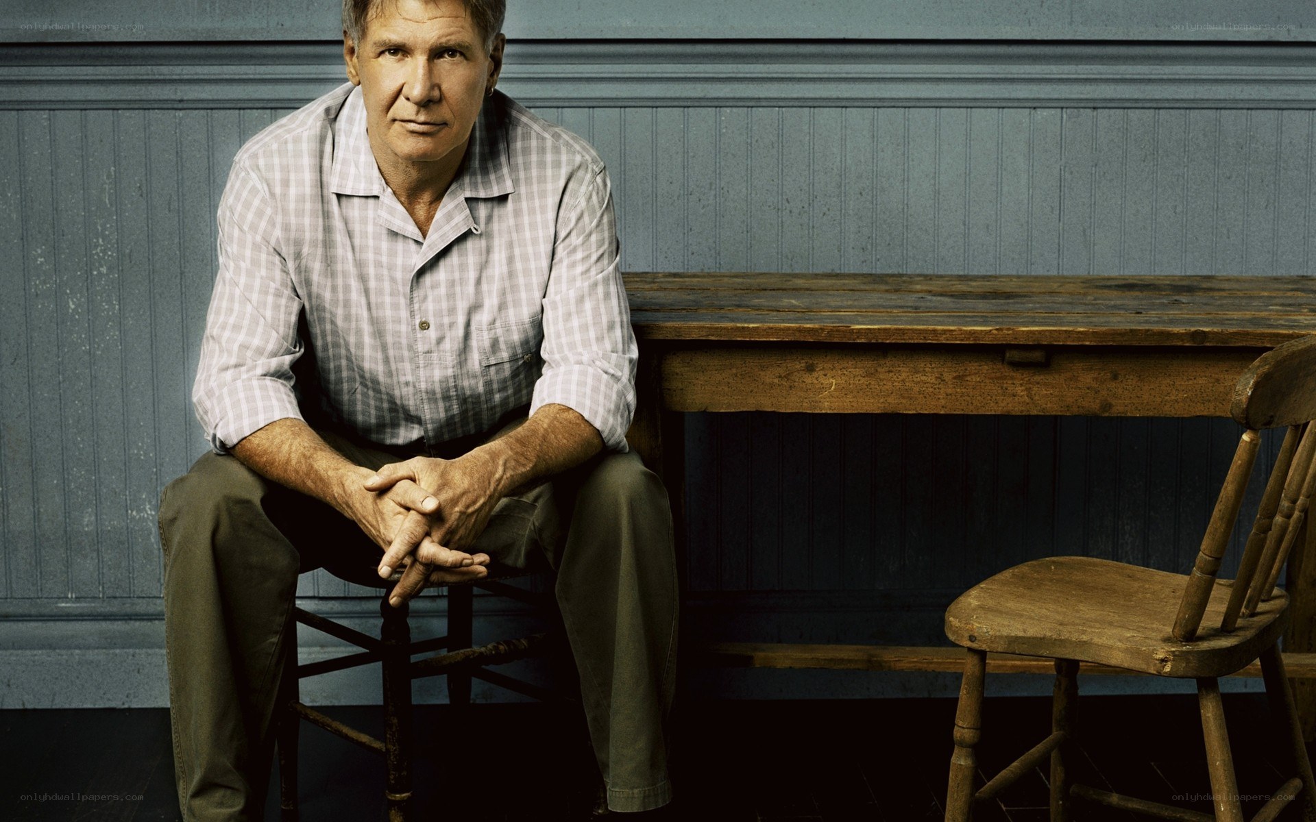 Harrison Ford portrait