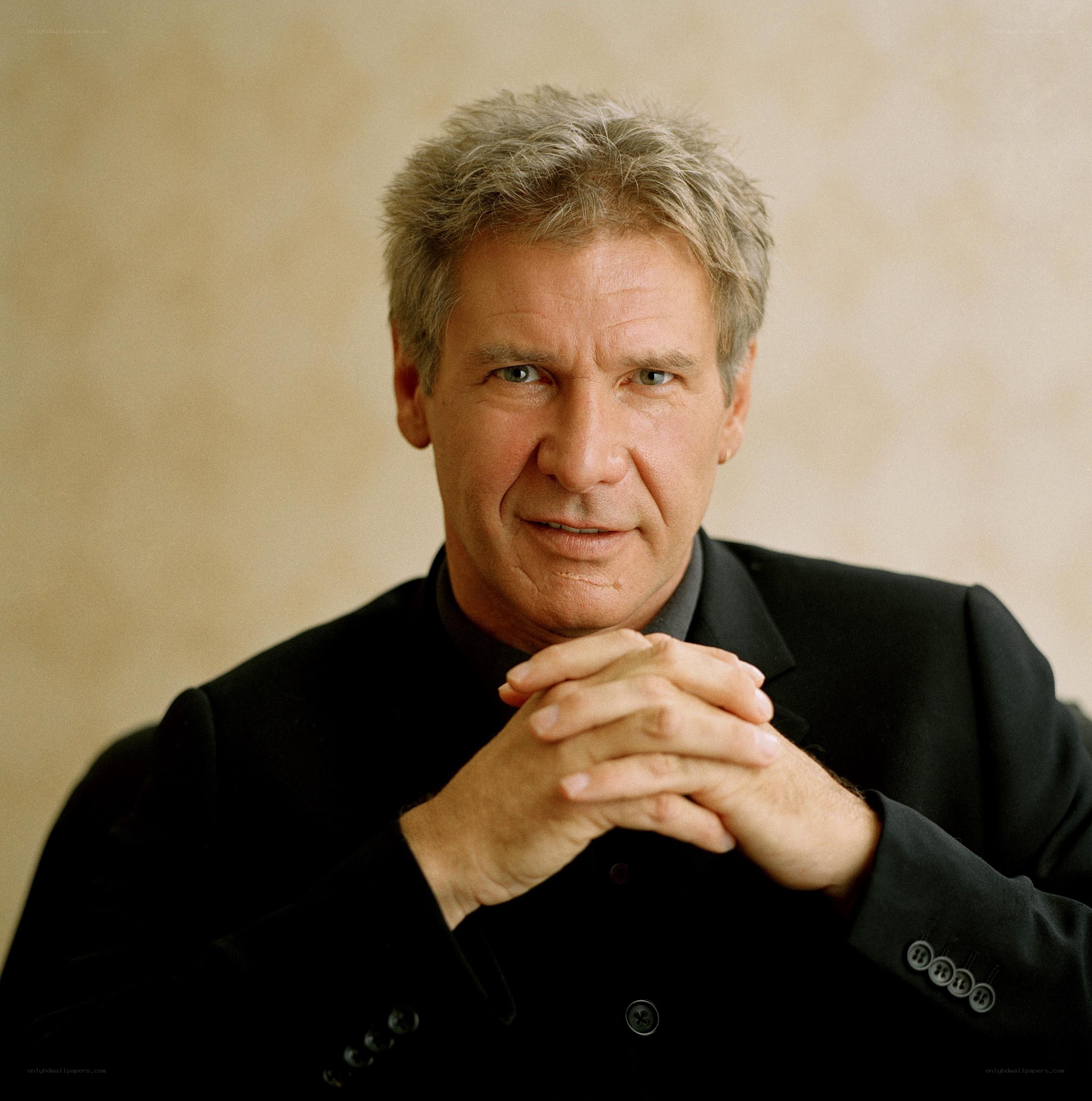 Harrison Ford portrait