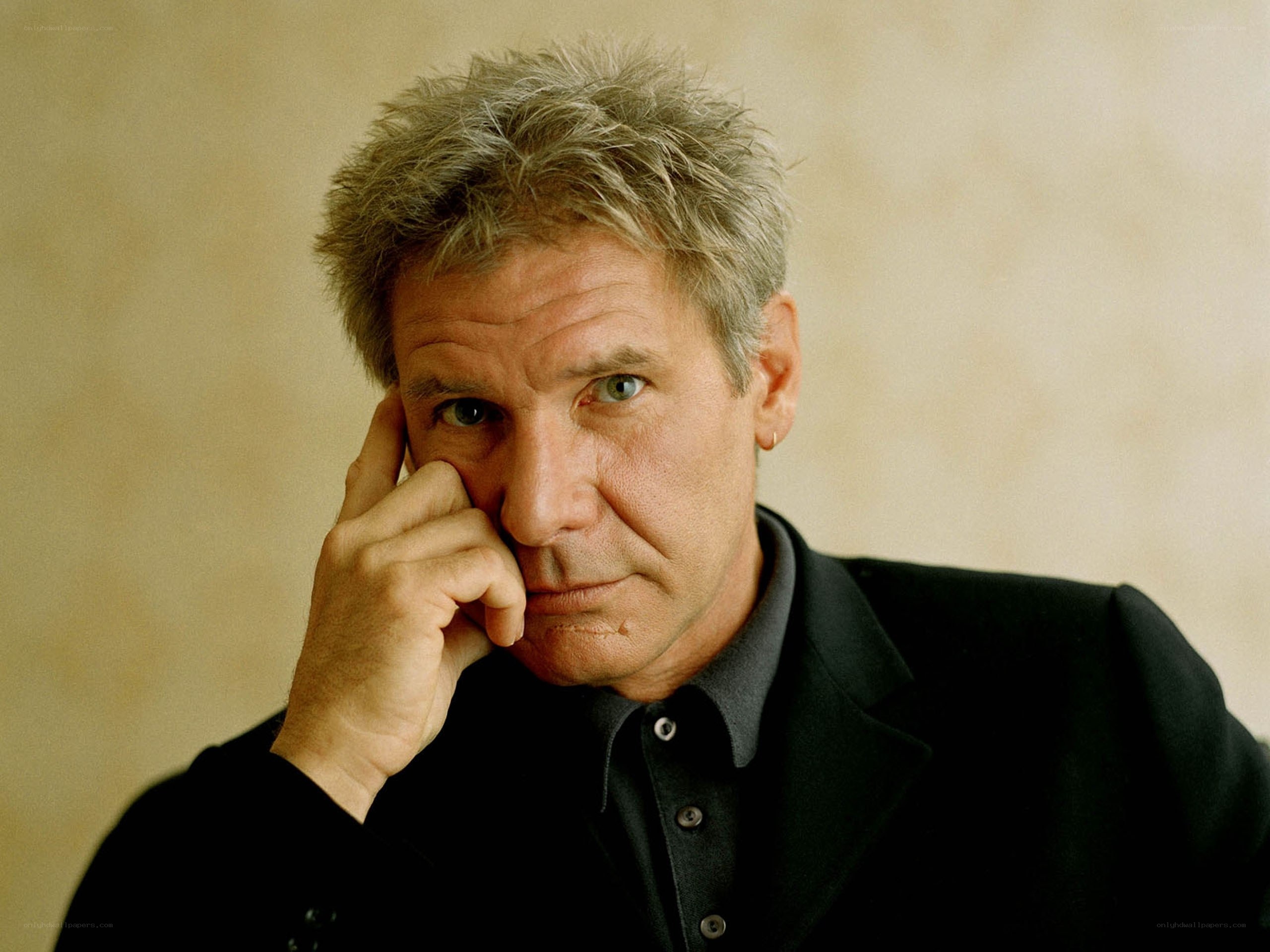 Harrison Ford portrait
