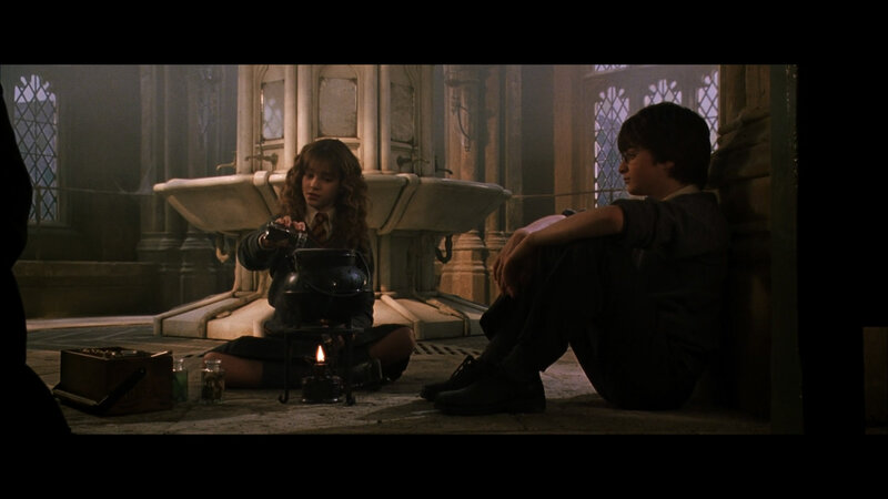 Harry and Hermione in the bathroom