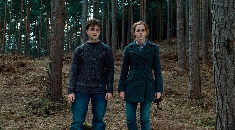 Harry and Hermione in the forest