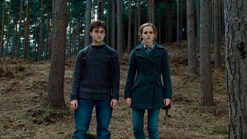 Harry and Hermione in the forest