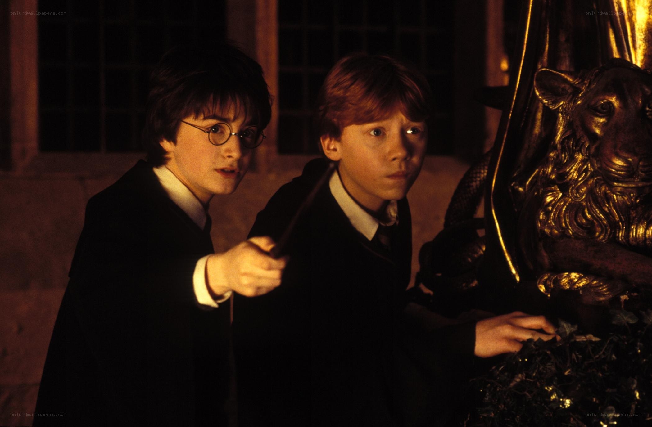 Harry and Ron with wands