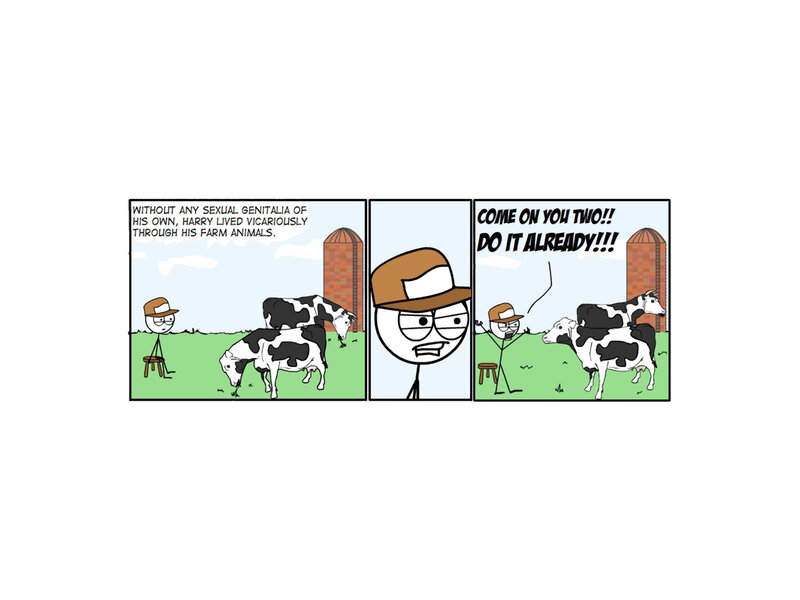 Harry and the cows