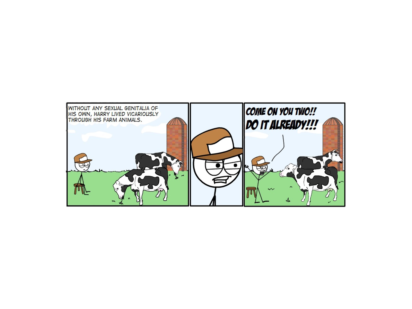 Harry and the cows