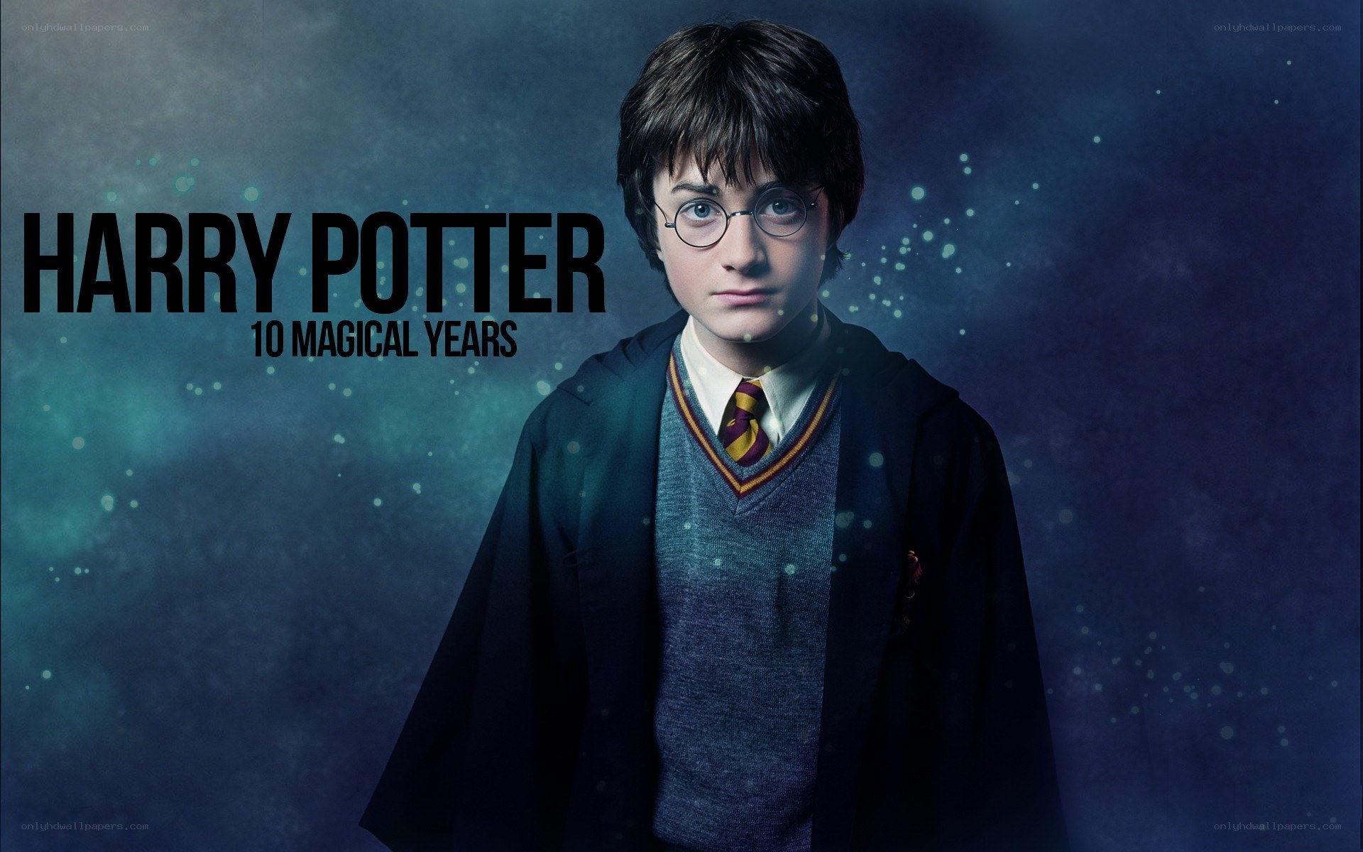 Harry Potter 10 Magical Years