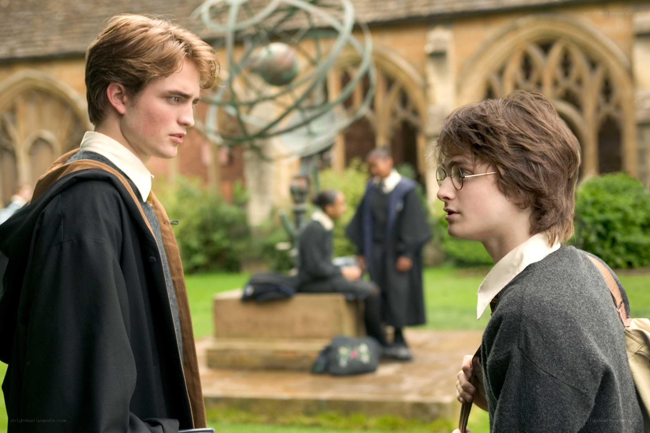 Harry Potter and Cedric Diggory