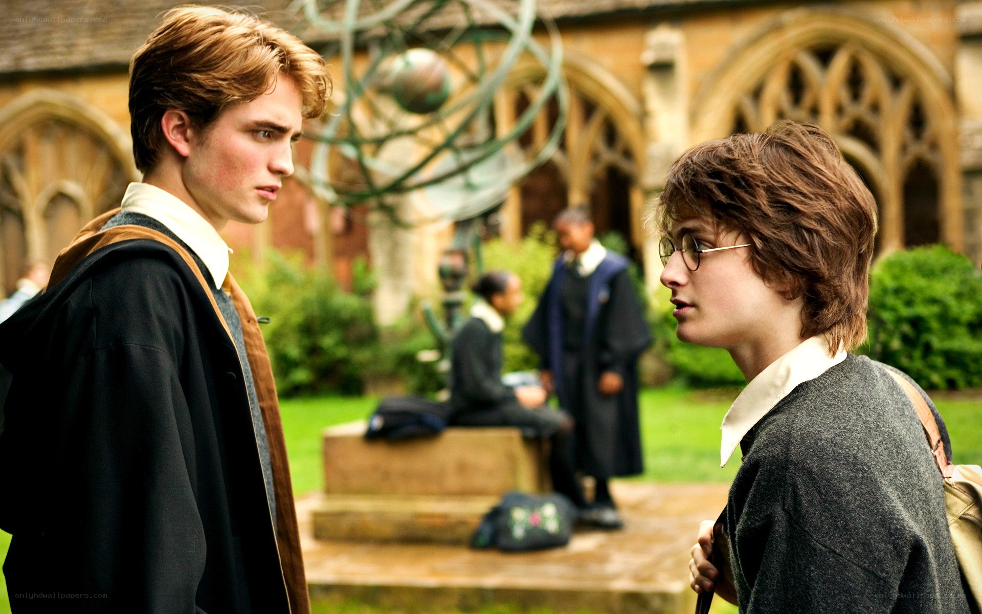 Harry Potter and Cedric Diggory