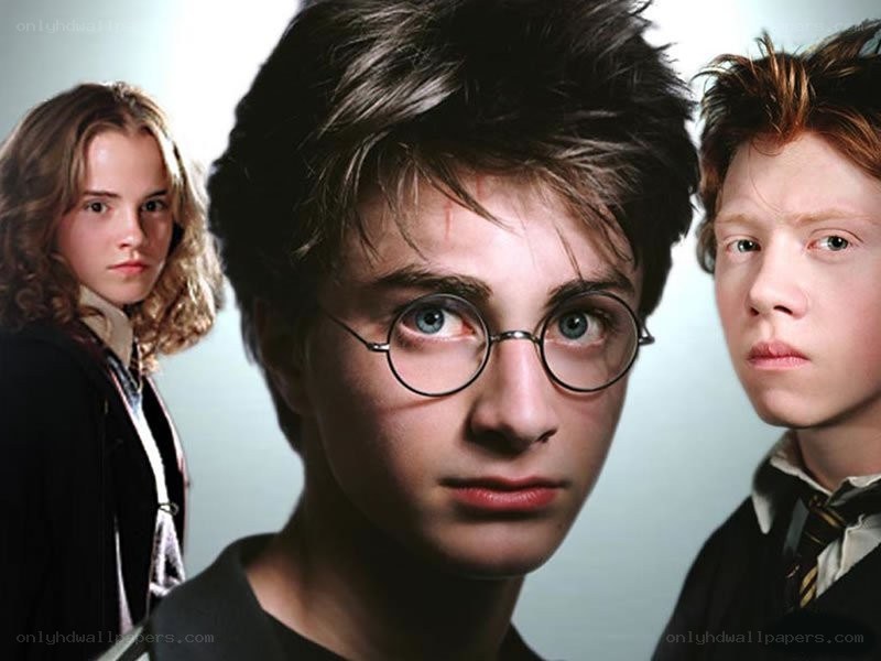 Harry Potter and friends