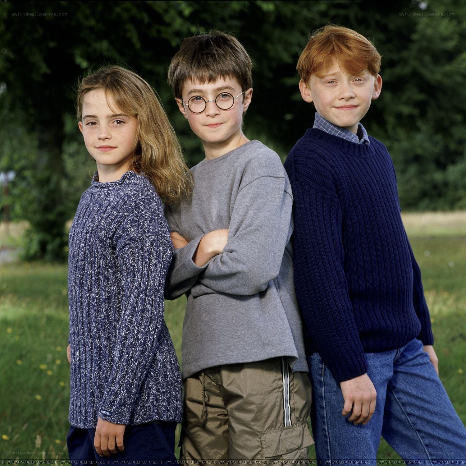 Harry Potter and friends