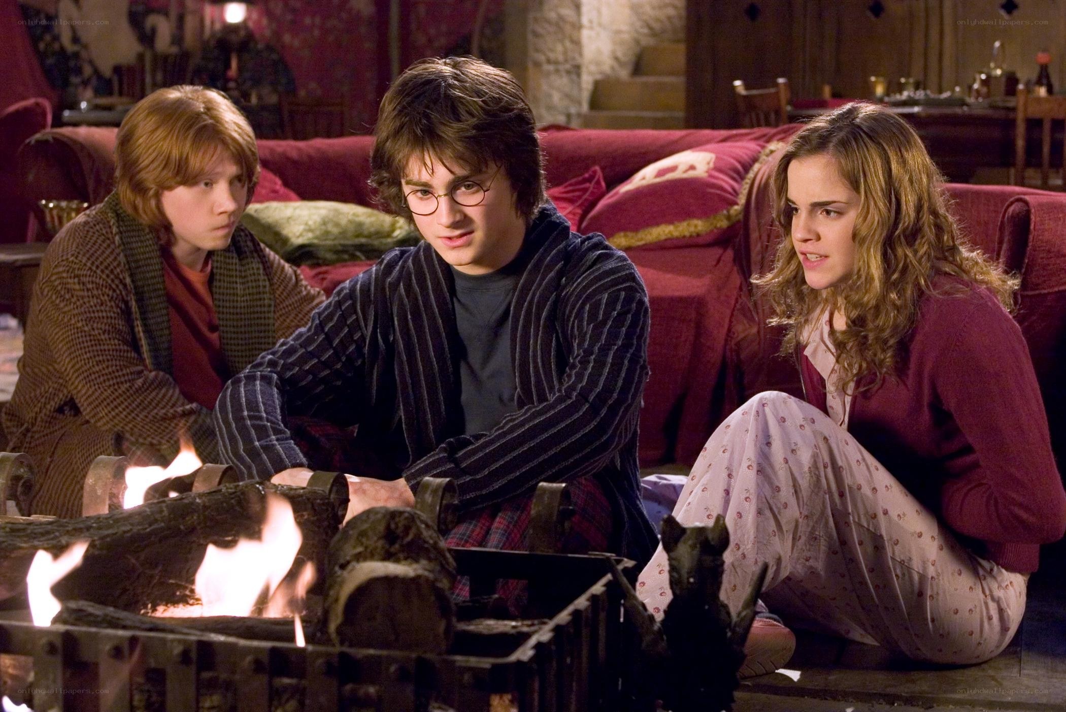 Harry Potter and friends by fire