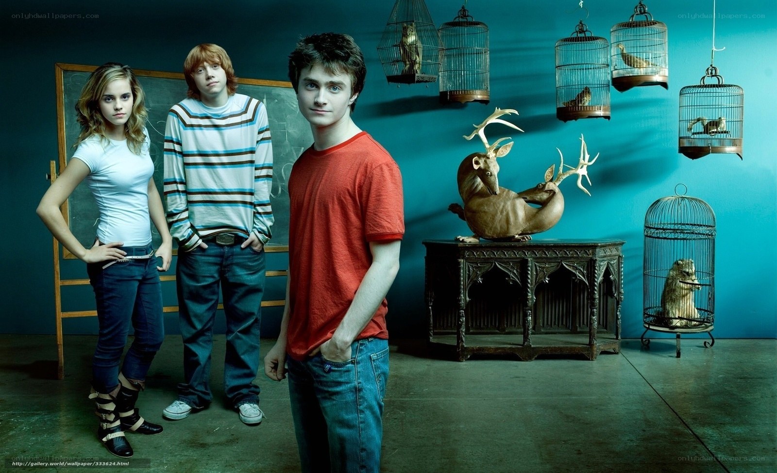Harry Potter and friends in classroom