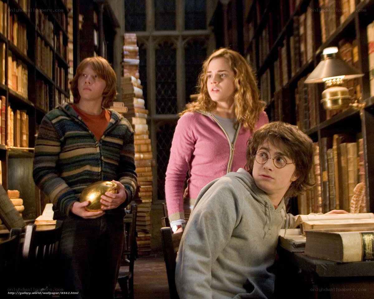 Harry Potter and friends in library