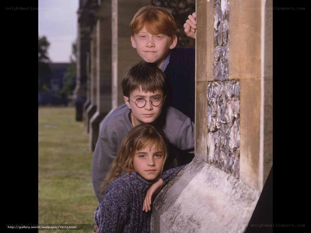 Harry Potter and friends peeking