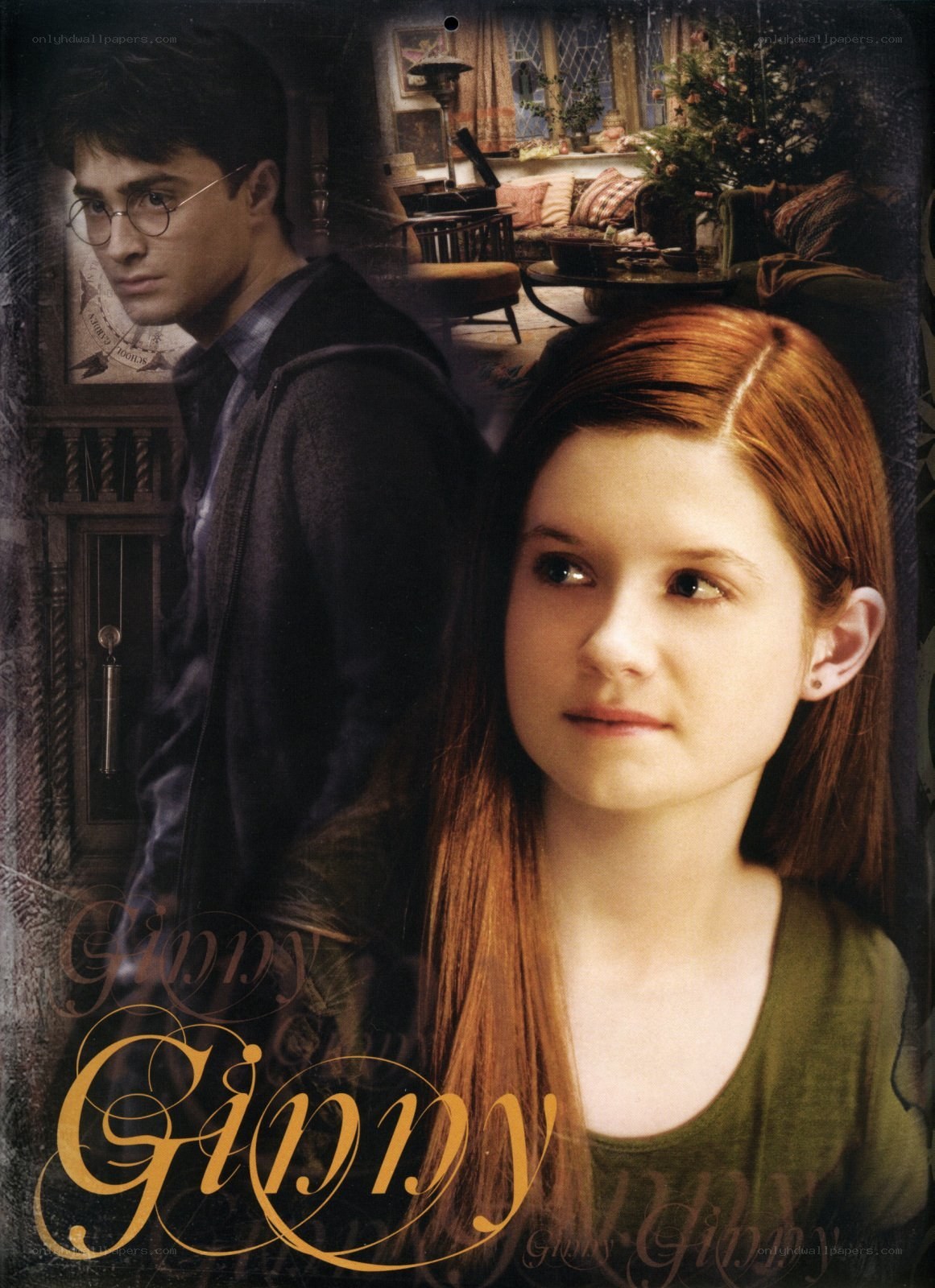 Harry Potter and Ginny Weasley