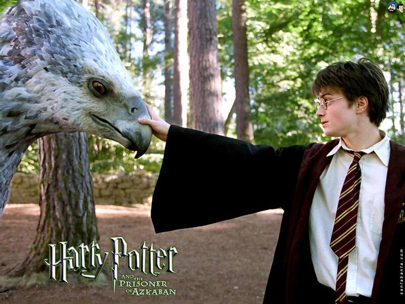 Harry Potter and Hedwig