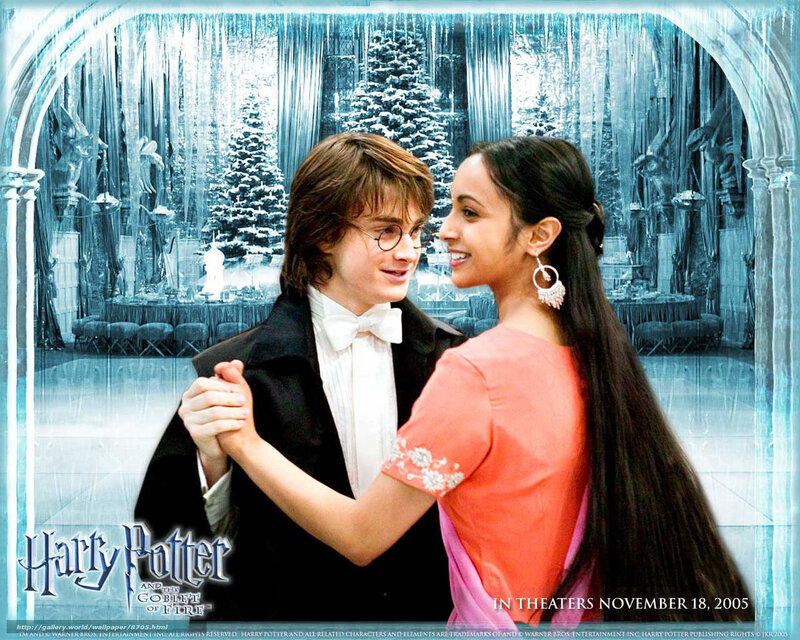 Harry Potter and Hermione Granger — Blue, Festive