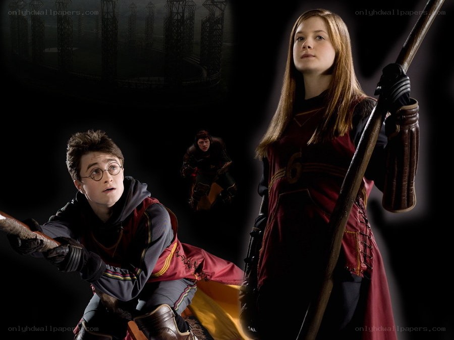 Harry Potter and Quidditch