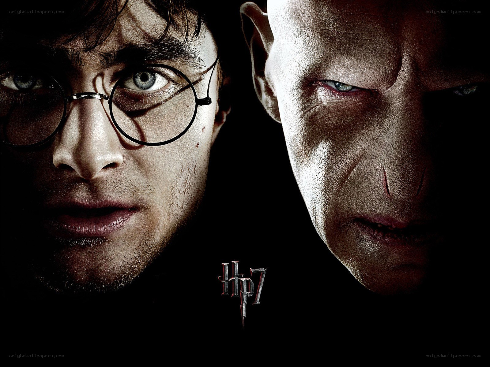 Harry Potter and Voldemort