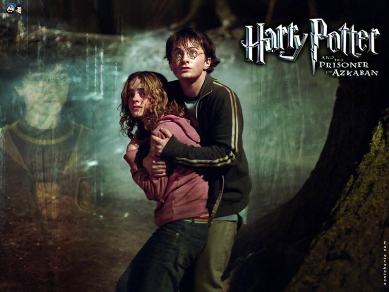 Harry Potter Carrying Hermione