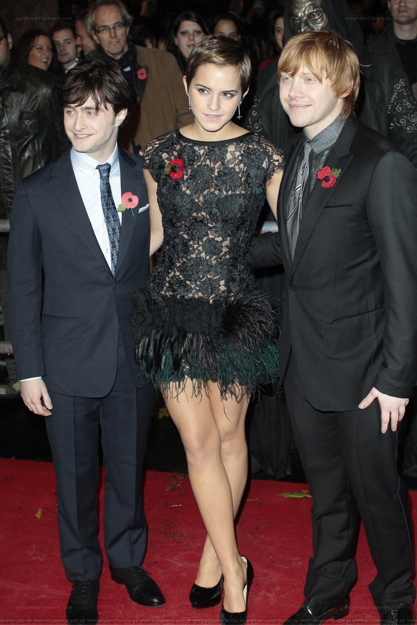 Harry Potter cast on red carpet