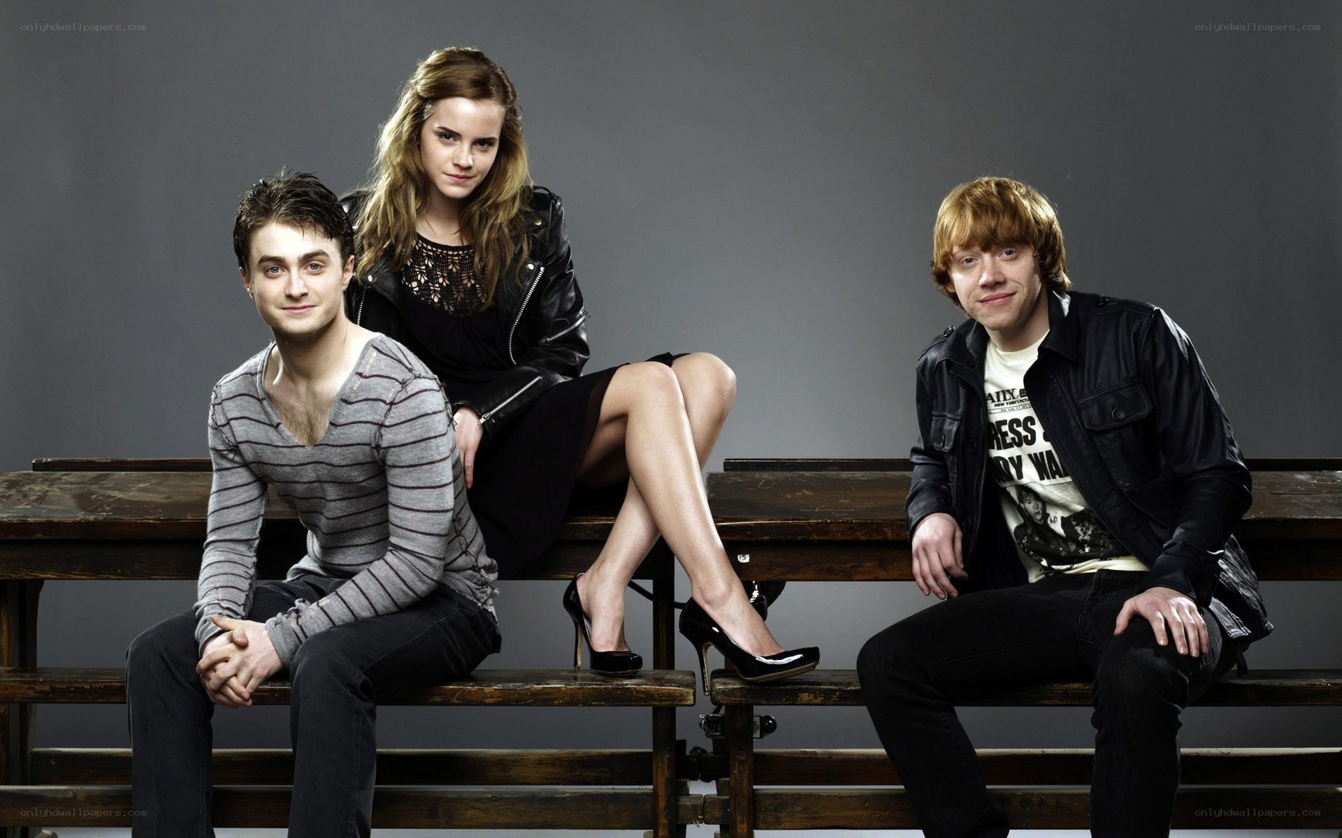 Harry Potter cast photo