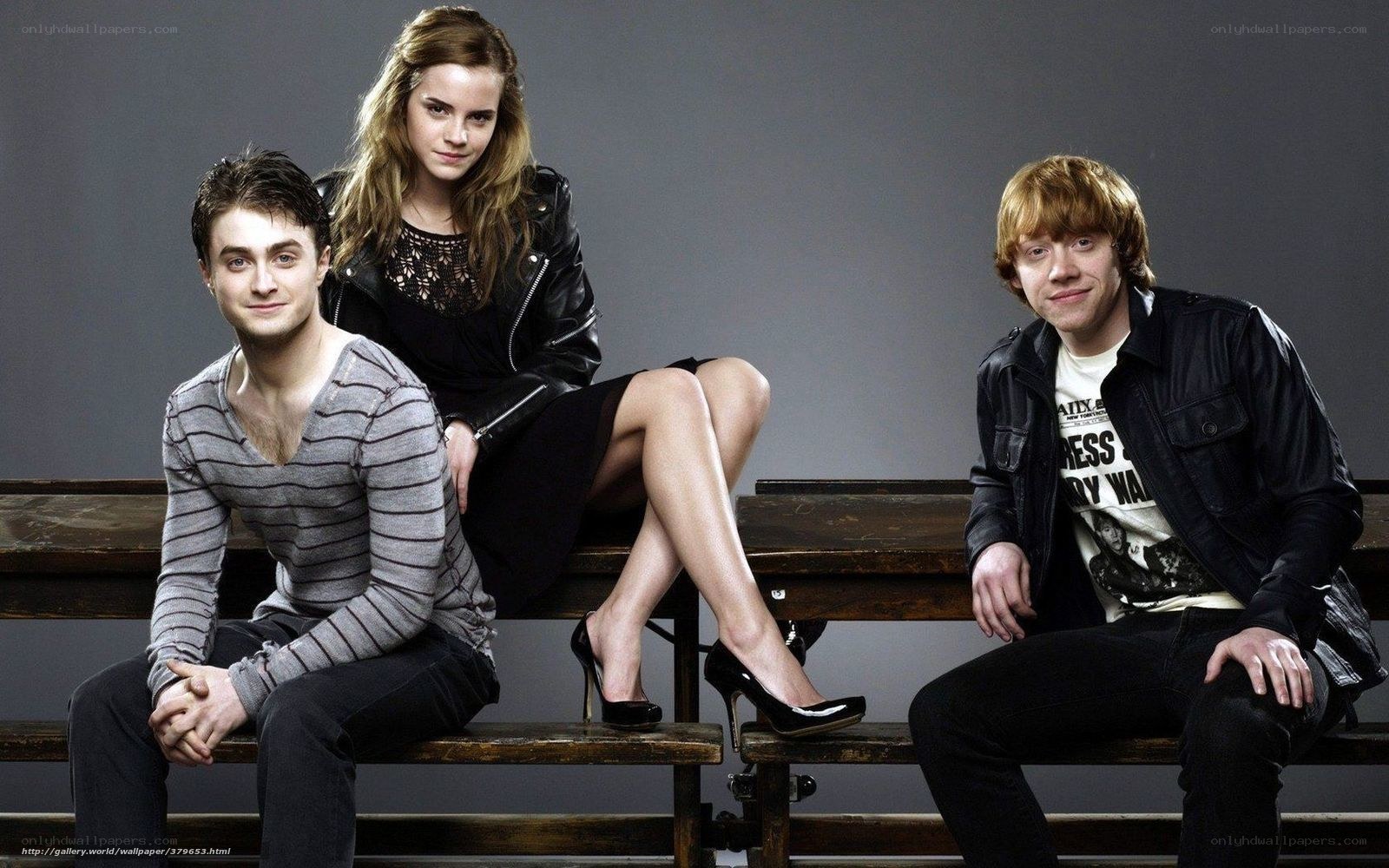 Harry Potter cast photo