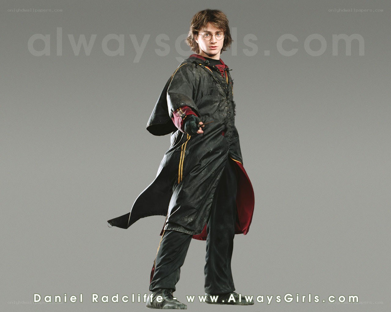 Harry Potter character portrait