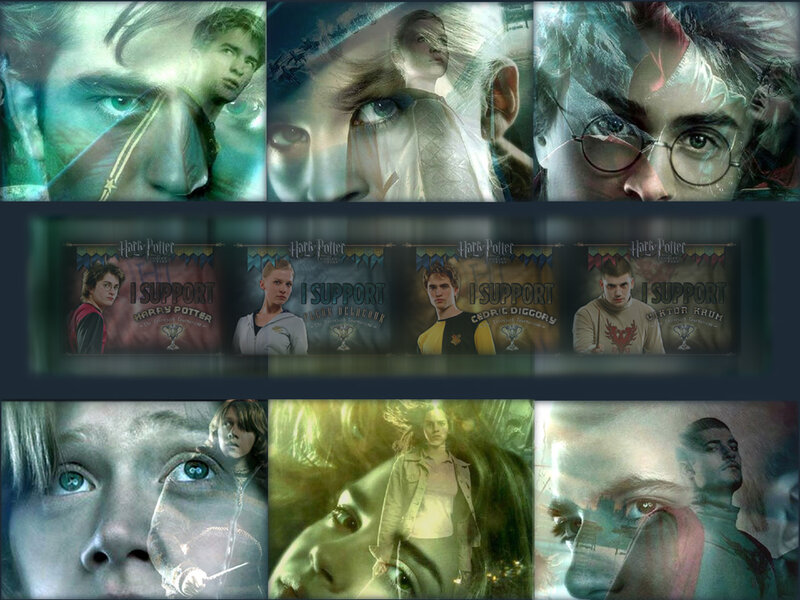 Harry Potter collage artwork