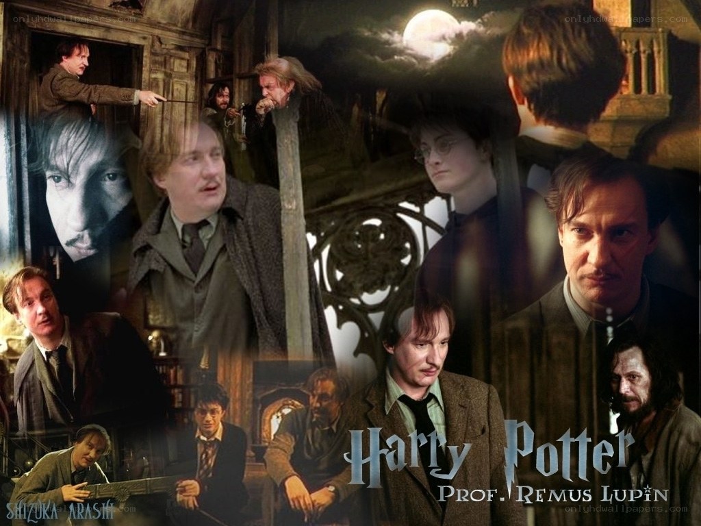 Harry Potter collage featuring Remus Lupin