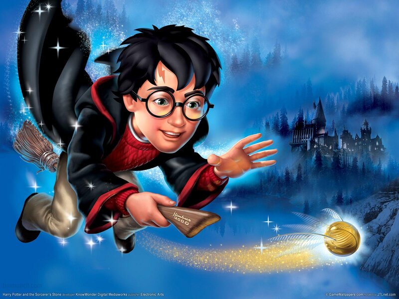 Harry Potter Flying on Broom — Blue