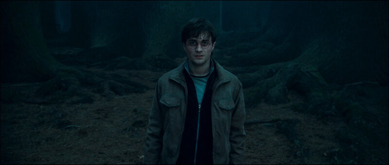 Harry Potter in a dark forest