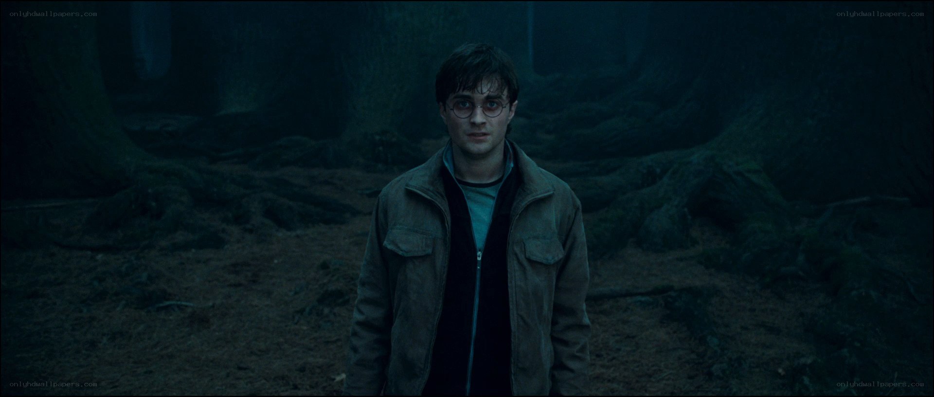 Harry Potter in a dark forest