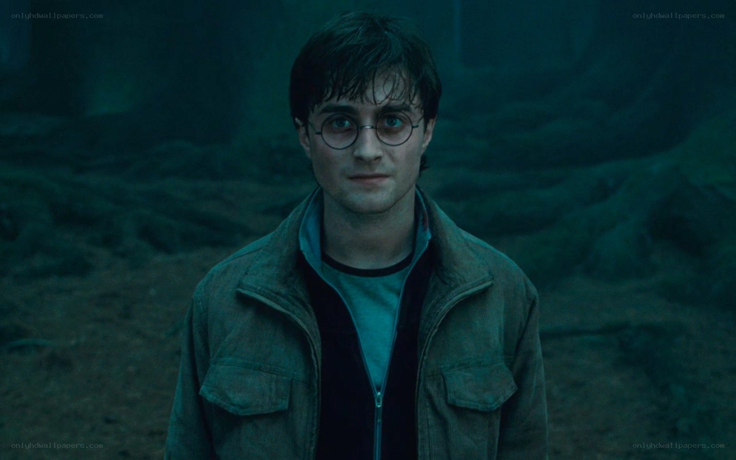 Harry Potter in dark forest