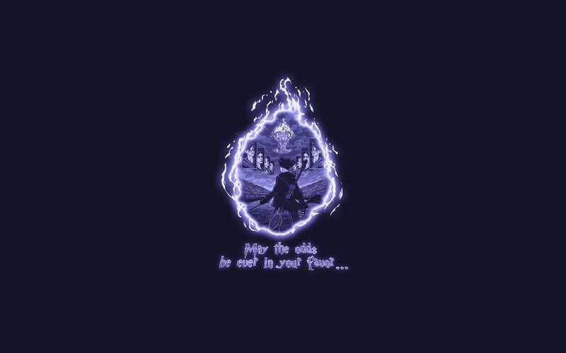 Harry Potter in Magical Portal