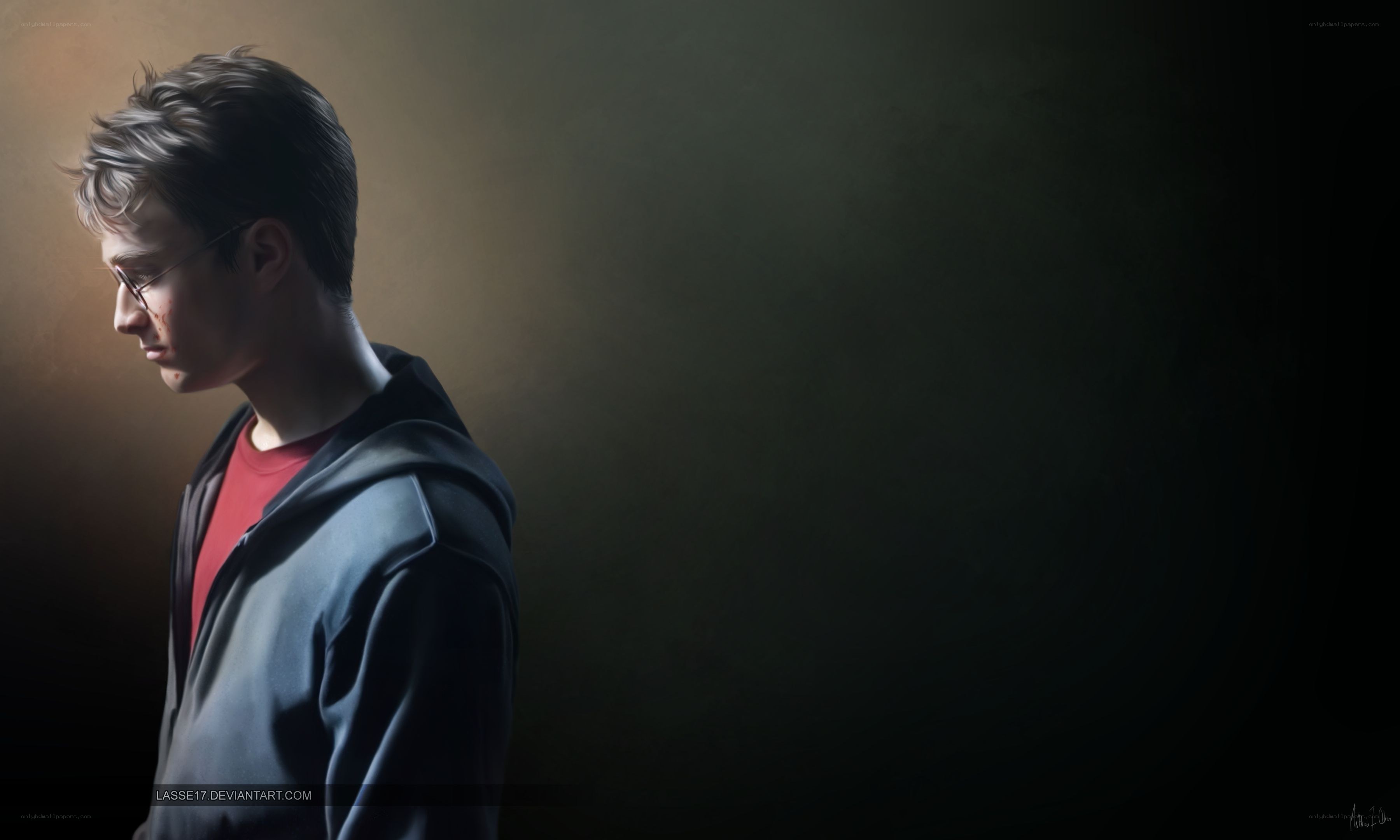 Harry Potter in profile