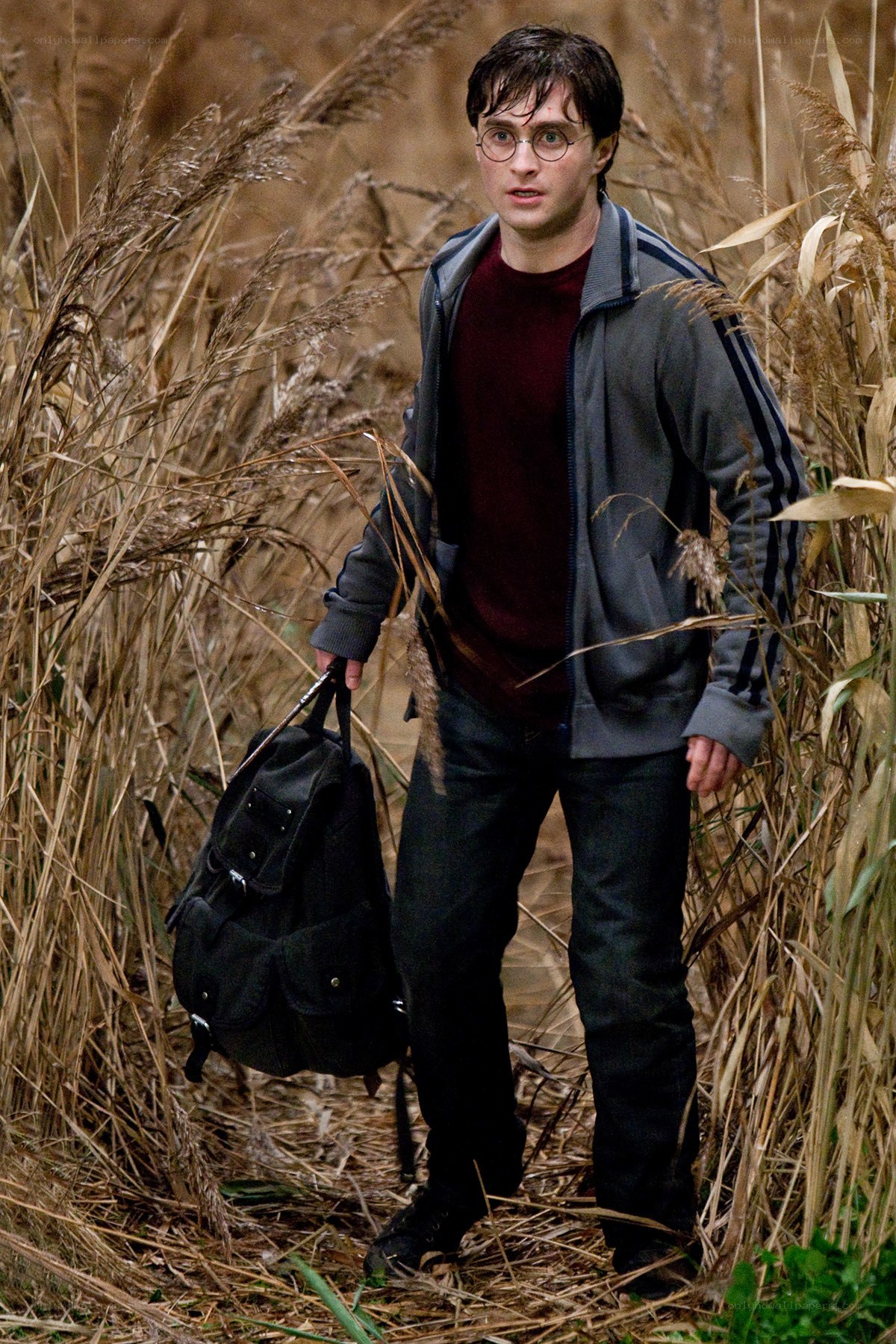 Harry Potter in tall grass
