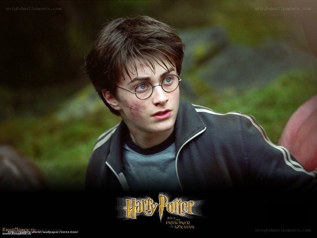 Harry Potter in the forest