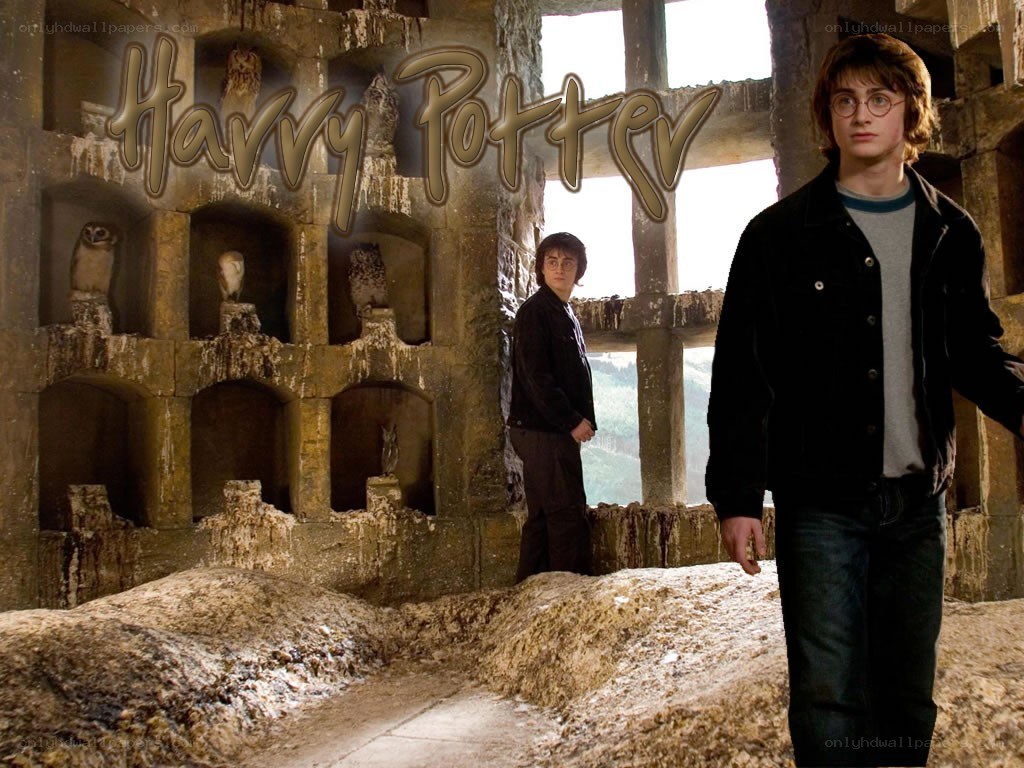 Harry Potter in the Owlery