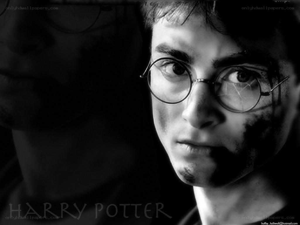 Harry Potter portrait