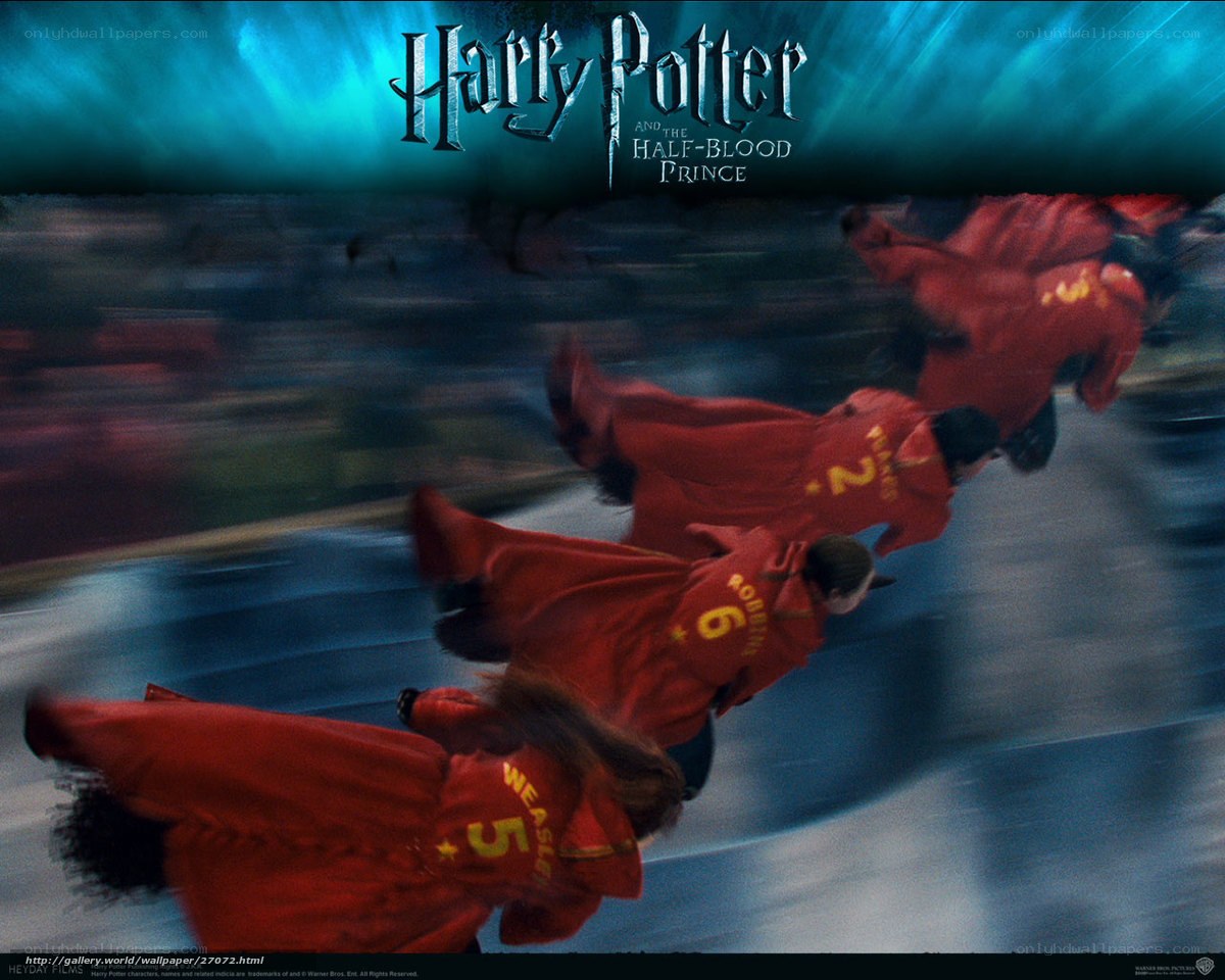 Harry Potter Quidditch match
