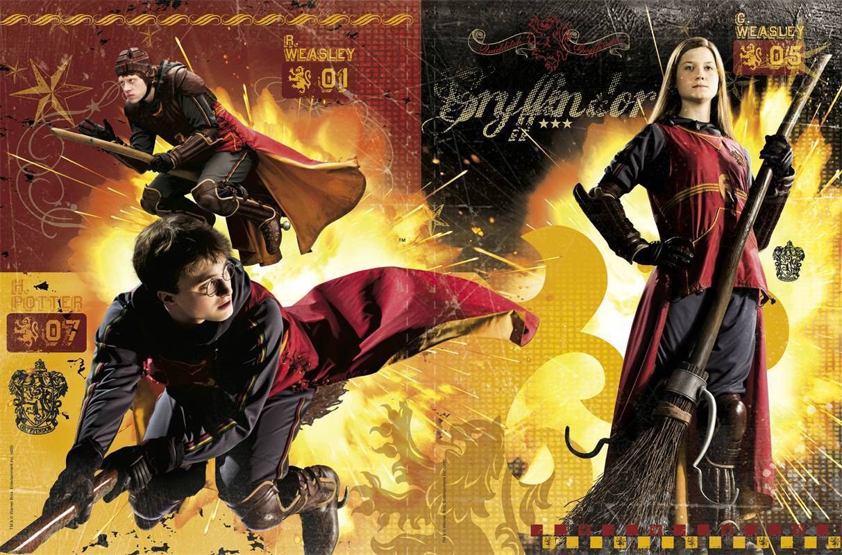 Harry Potter Quidditch team
