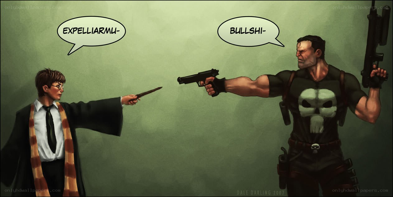 Harry Potter vs Punisher
