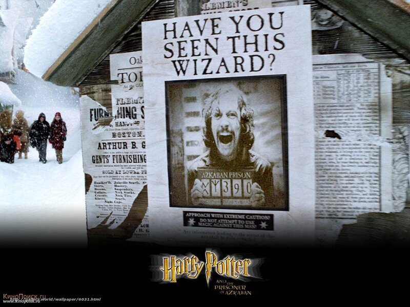 Harry Potter wanted poster