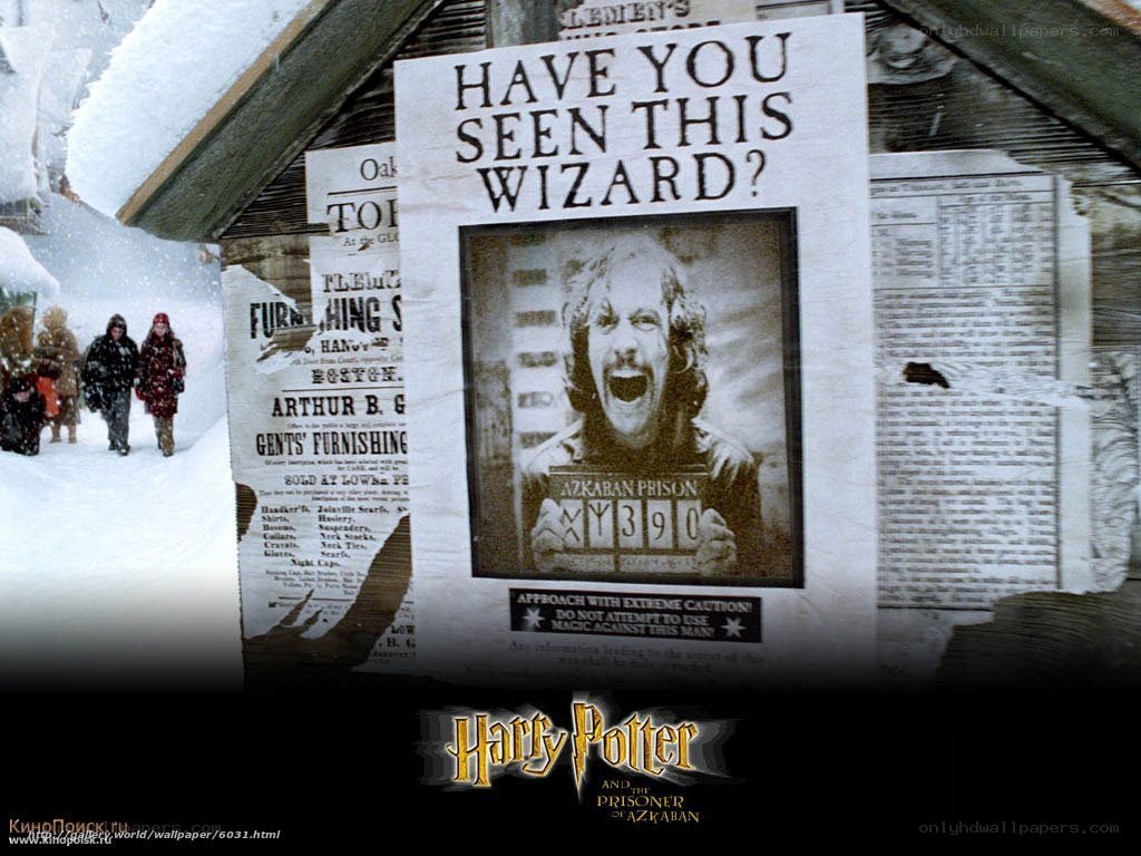 Harry Potter wanted poster