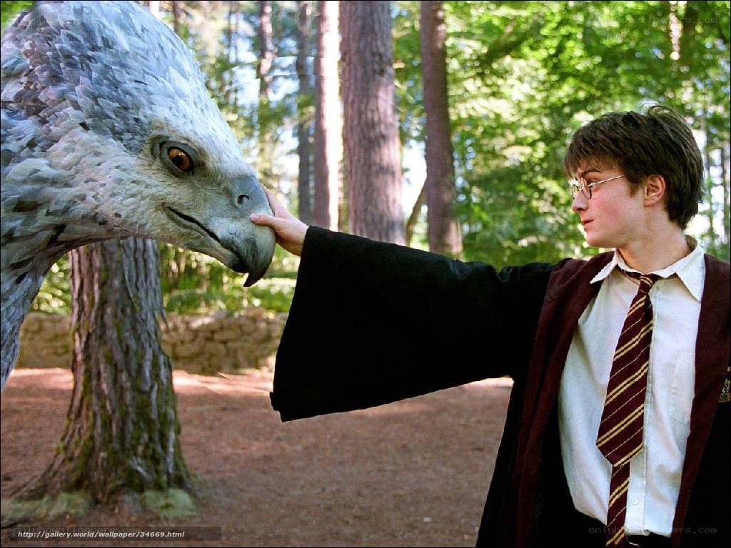 Harry Potter with a hippogriff