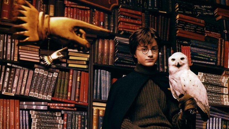 Harry Potter with Hedwig in library