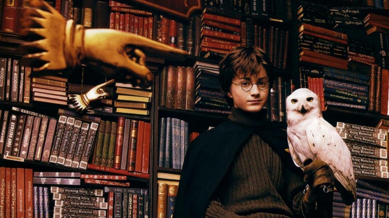 Harry Potter with Hedwig in library