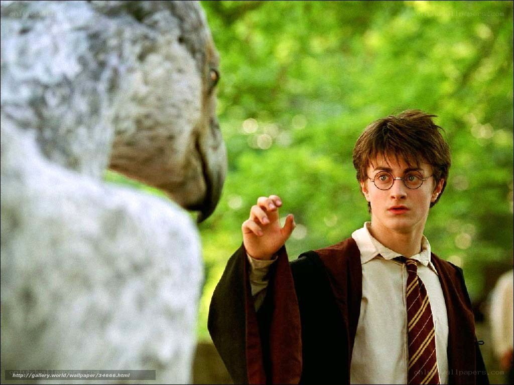 Harry Potter with hippogriff