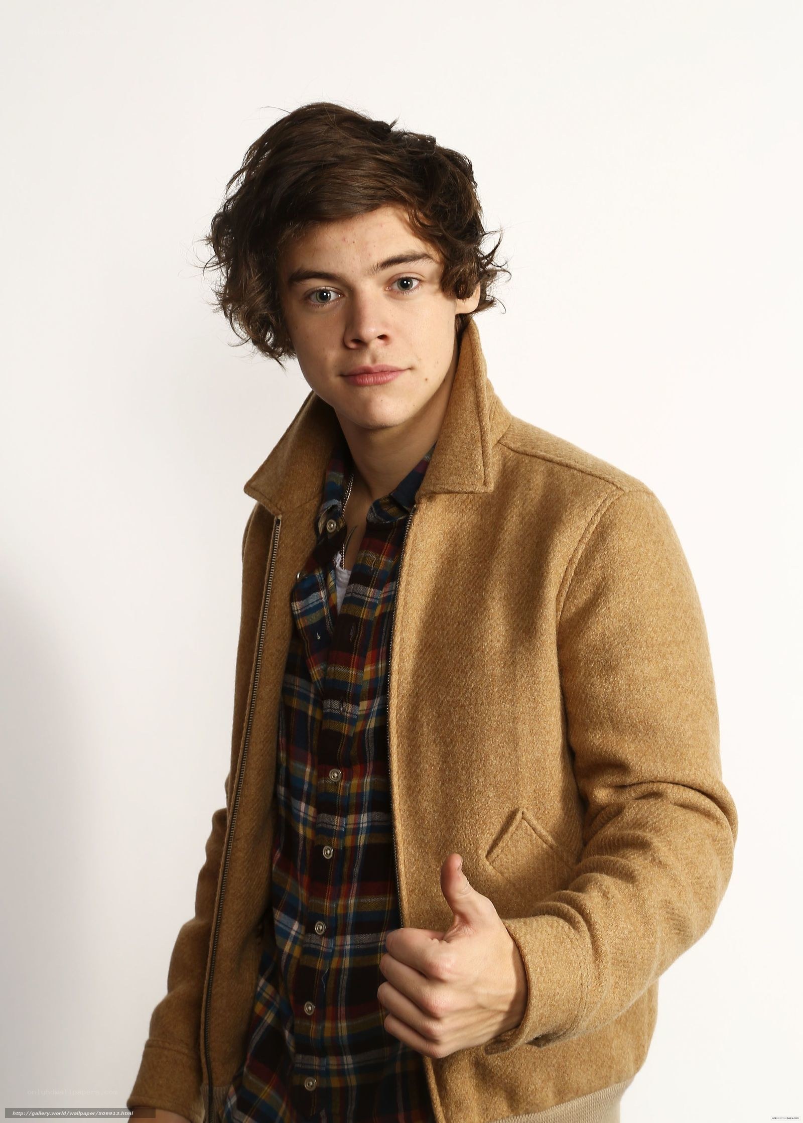 Harry Styles in a tan coat